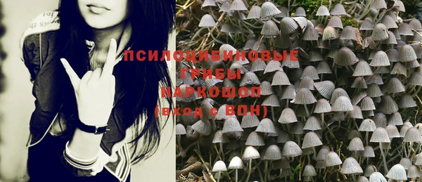 стаф Бугульма