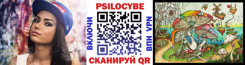 Галлюциногенные грибы Magic Shrooms  Купить закладки  Карасук 